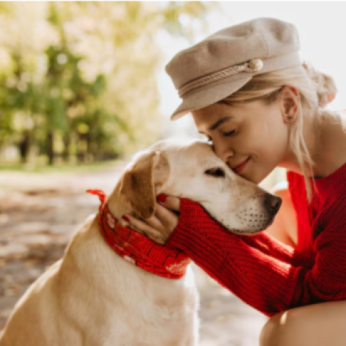 As Últimas Tendências em Cuidados para Pets: O Que Há de Novo em 2024